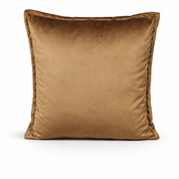 Coussin viky.jpeg